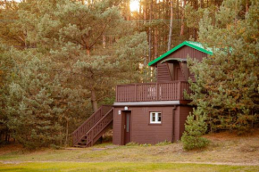 Camping Wyzwanie Bory Tucholskie in Czarna Woda